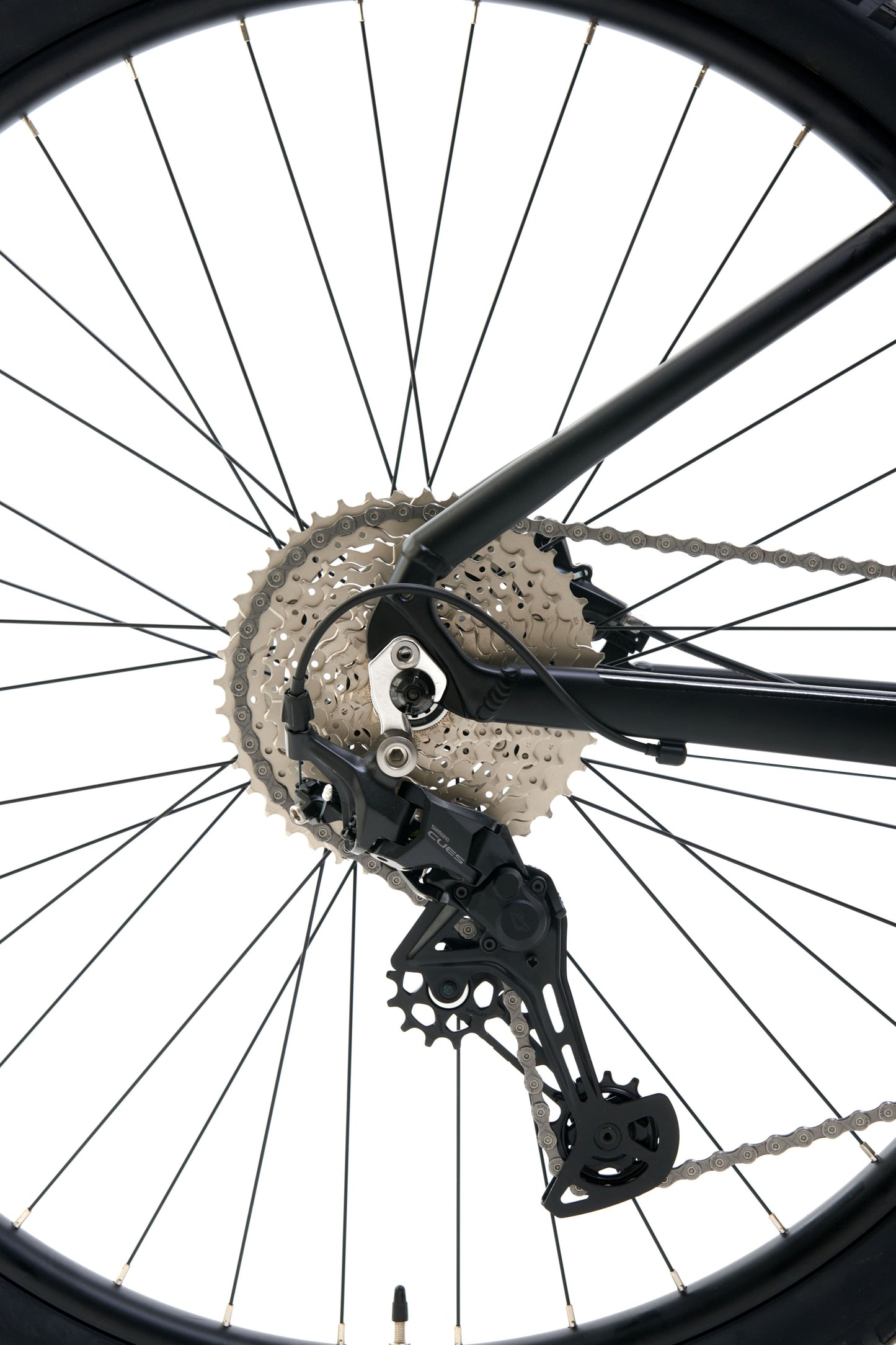 Diez D10 29" MTB |Shimano CUES 1x10, Air Fork, Hydraulic Disc