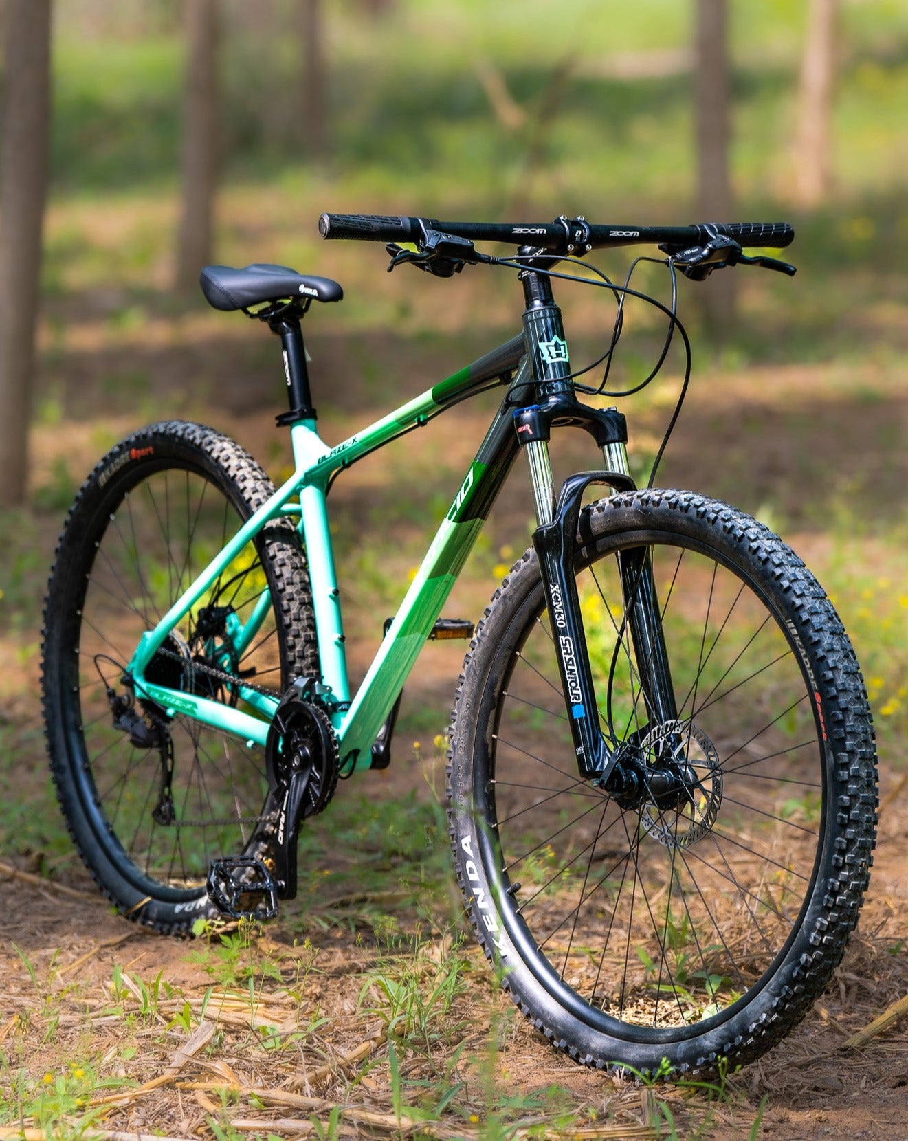 29 inch Mountain Bike