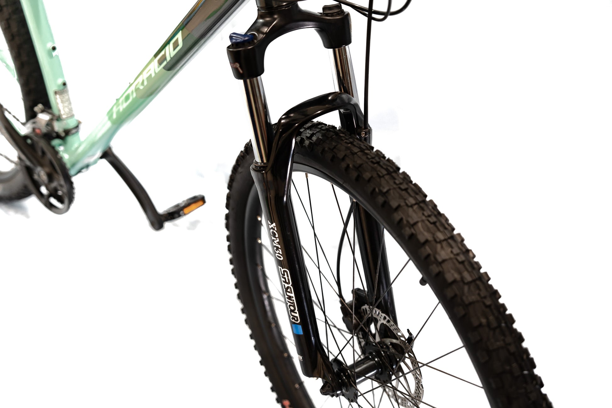 BLAZEX 29" Mountain Bike