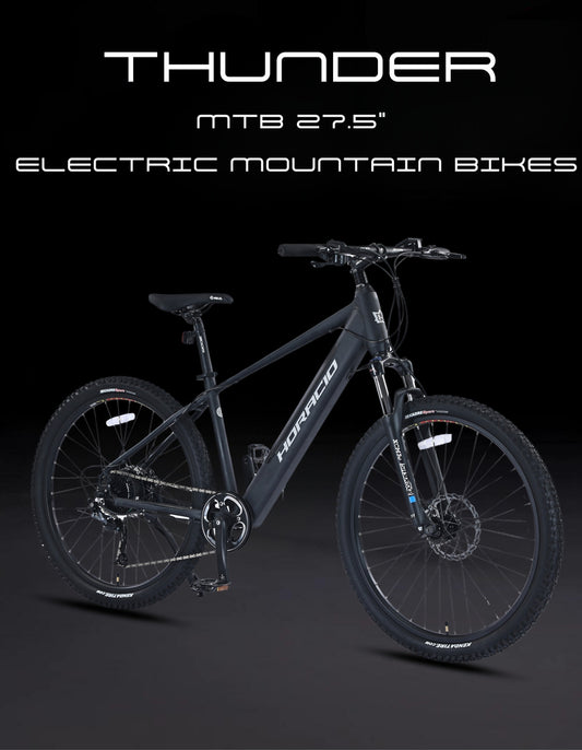 Thunder e-Bike / Electric Mountain Bikes 27.5"/250W E-MTB