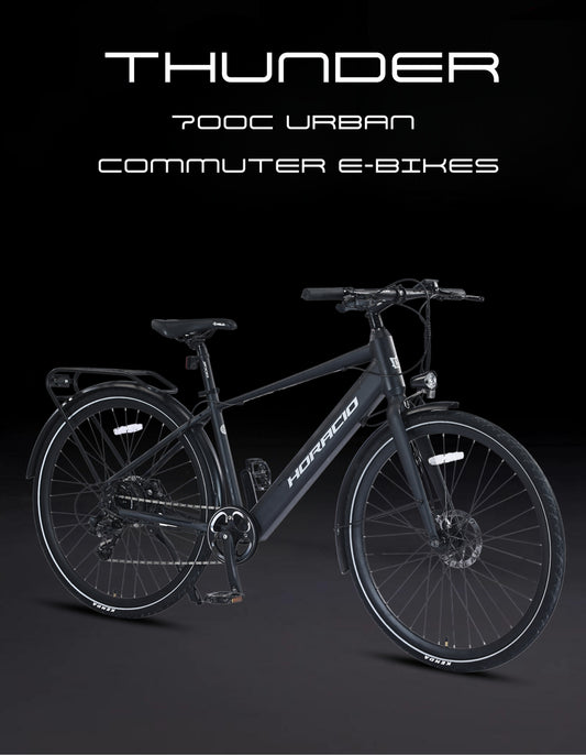 Thunder e-Bike / Electric Urban 700C/250W Electric Commuter Bike