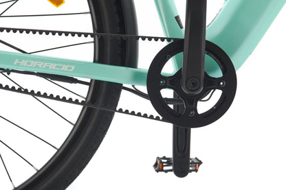 trek automatic shifting bicycle Horacio Serenio Step Through Gates Belt-Drive Electric Bike – Automati