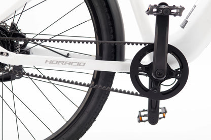 Horacio Serenio Classic Gates Belt-Drive Electric Bike – Automatic Gear Shifting E-Bike