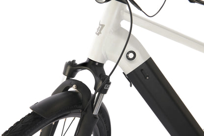 Horacio Serenio Classic Gates Belt-Drive Electric Bike – Automatic Gear Shifting E-Bike
