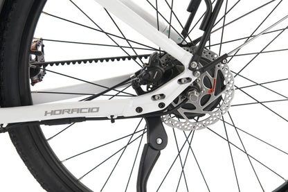 Horacio Serenio Classic Gates Belt-Drive Electric Bike – Automatic Gear Shifting E-Bike