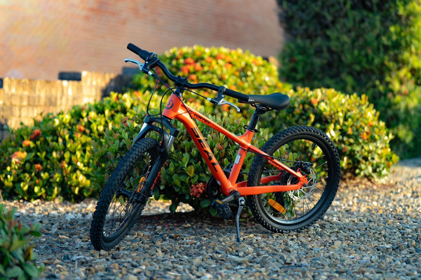 Vortex 20 Inch Kids Mountain Bike – Light Alloy Frame, 7 Speed, Disc Brake